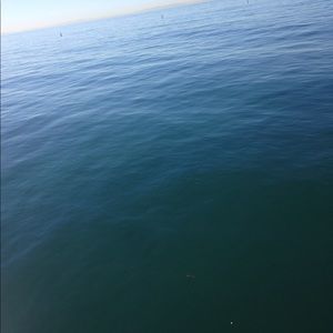 Meet your Posher, Jacqueline